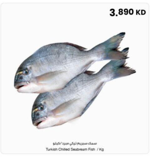 available at مركز سلطان in الكويت - محافظة الجهراء