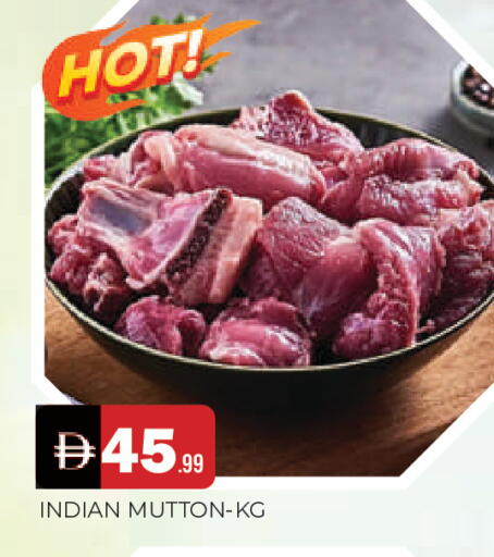 available at المدينة in الإمارات العربية المتحدة , الامارات - الشارقة / عجمان