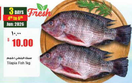 available at ريتيل مارت in قطر - الريان