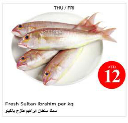 available at نستو هايبرماركت in الإمارات العربية المتحدة , الامارات - أبو ظبي