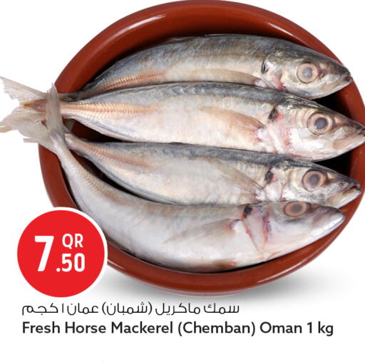 available at سفاري هايبر ماركت in قطر - الدوحة