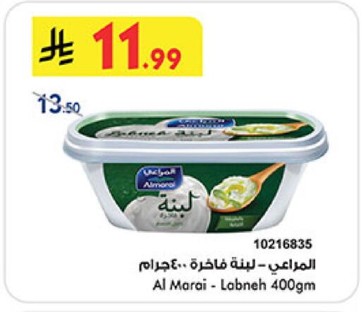 available at بن داود in مملكة العربية السعودية, السعودية, سعودية - المدينة المنورة