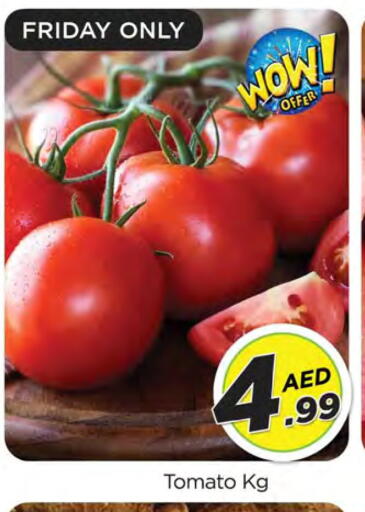 Tomato available at المدينة in الإمارات العربية المتحدة , الامارات - الشارقة / عجمان