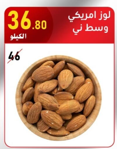 available at Bin Afif Bazaar in KSA, Saudi Arabia, Saudi - Dammam
