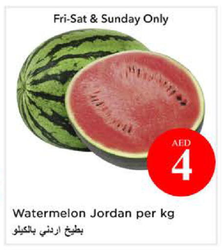 Watermelon from Jordan available at نستو هايبرماركت in الإمارات العربية المتحدة , الامارات - الشارقة / عجمان