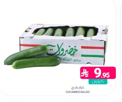 Cucumber available at اسواق المنتزه in مملكة العربية السعودية, السعودية, سعودية - المنطقة الشرقية