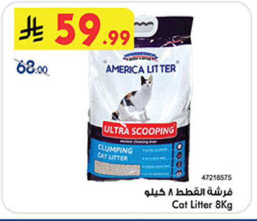 available at بن داود in مملكة العربية السعودية, السعودية, سعودية - المدينة المنورة