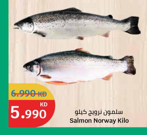 available at City Hypermarket in Kuwait - Ahmadi Governorate