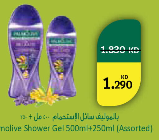 available at سيتي هايبرماركت in الكويت - محافظة الجهراء