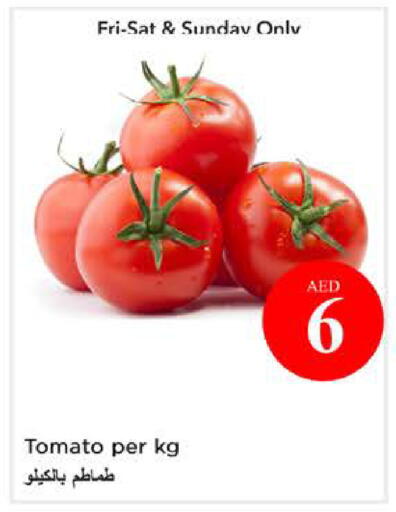 Tomato available at نستو هايبرماركت in الإمارات العربية المتحدة , الامارات - الشارقة / عجمان