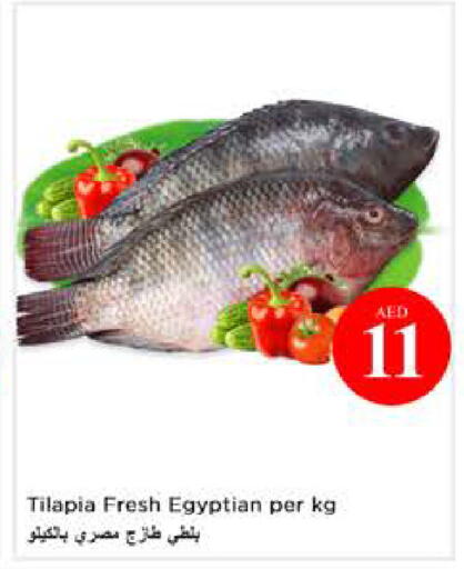 available at نستو هايبرماركت in الإمارات العربية المتحدة , الامارات - أبو ظبي