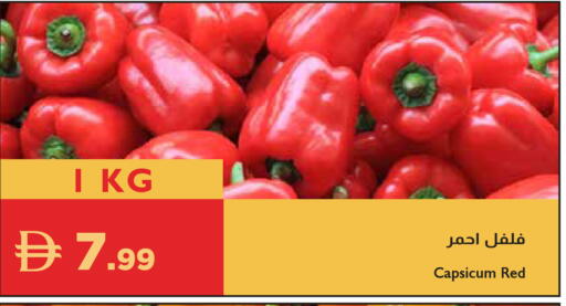 Capsicum available at إسطنبول سوبرماركت in الإمارات العربية المتحدة , الامارات - ٱلْعَيْن‎
