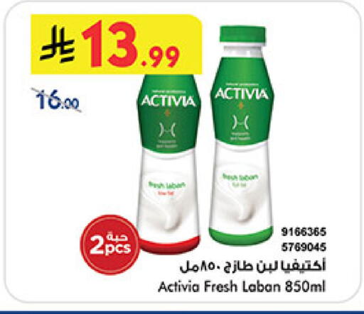available at بن داود in مملكة العربية السعودية, السعودية, سعودية - المدينة المنورة