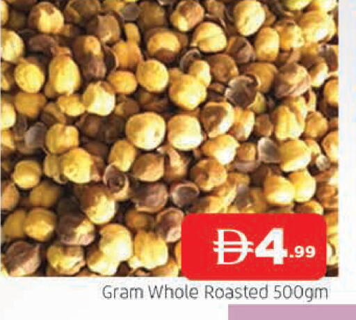 available at المدينة in الإمارات العربية المتحدة , الامارات - الشارقة / عجمان