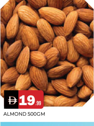 available at المدينة in الإمارات العربية المتحدة , الامارات - الشارقة / عجمان