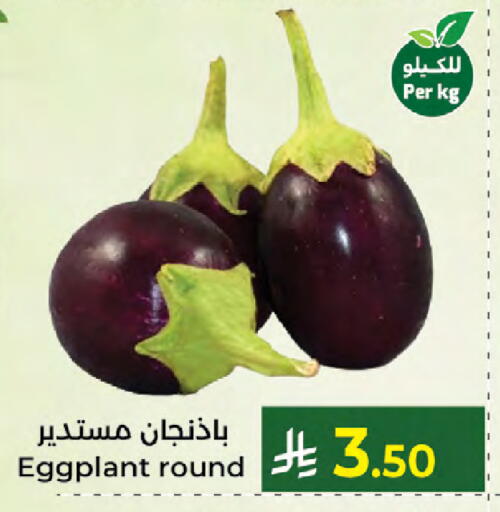Eggplant available at كبايان هايبرماركت in مملكة العربية السعودية, السعودية, سعودية - جدة