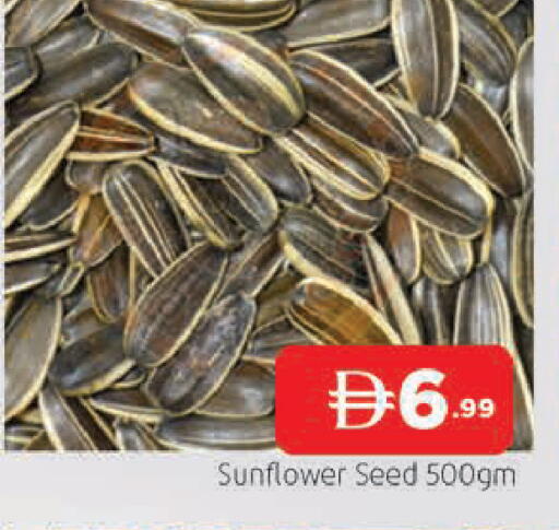 available at المدينة in الإمارات العربية المتحدة , الامارات - الشارقة / عجمان