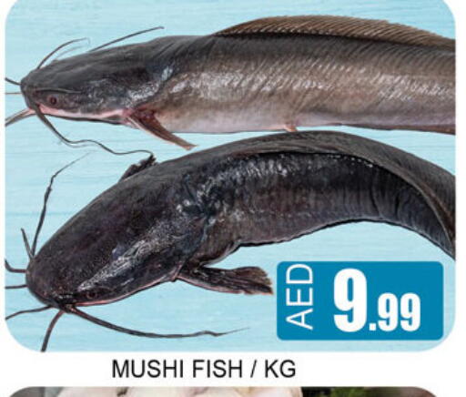 available at Lucky Center in UAE - Sharjah / Ajman