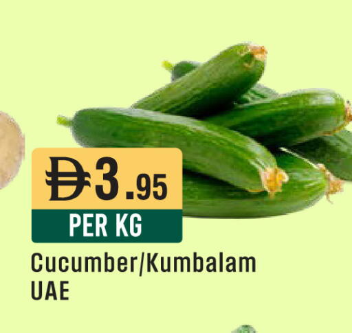 Cucumber available at West Zone Supermarket in UAE - Sharjah / Ajman