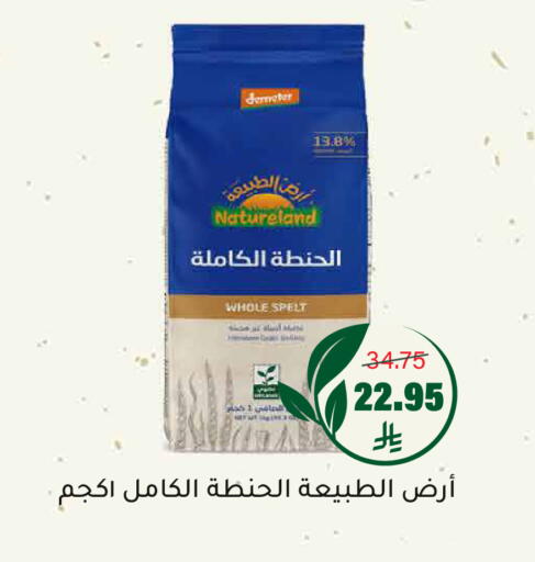 available at Al Amer Market in KSA, Saudi Arabia, Saudi - Al Hasa