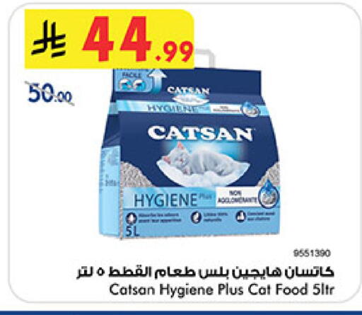 available at بن داود in مملكة العربية السعودية, السعودية, سعودية - المدينة المنورة