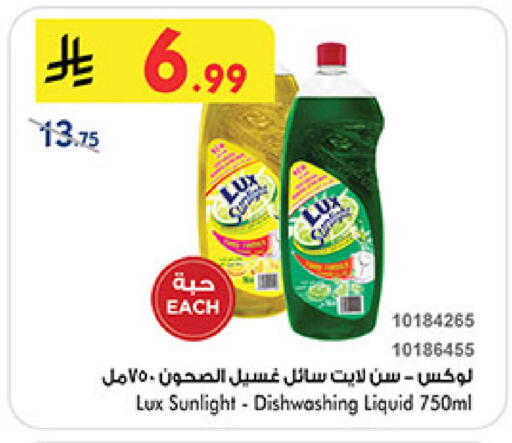 available at بن داود in مملكة العربية السعودية, السعودية, سعودية - المدينة المنورة