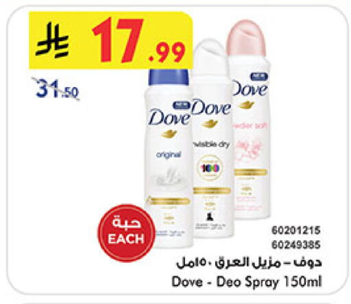 available at بن داود in مملكة العربية السعودية, السعودية, سعودية - المدينة المنورة