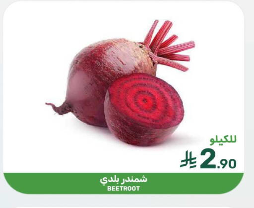 Beetroot available at  مـزايــا in مملكة العربية السعودية, السعودية, سعودية - المنطقة الشرقية