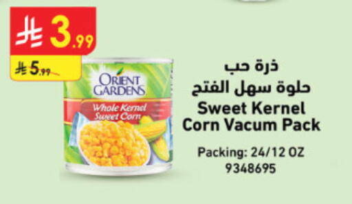 available at الدانوب in مملكة العربية السعودية, السعودية, سعودية - الطائف