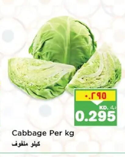 Cabbage available at Nesto Hypermarkets in Kuwait - Ahmadi Governorate