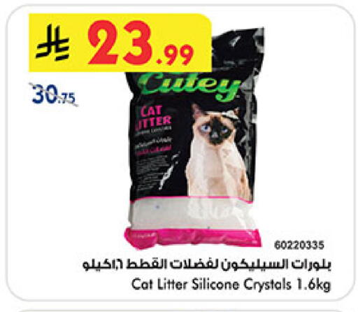 available at بن داود in مملكة العربية السعودية, السعودية, سعودية - المدينة المنورة