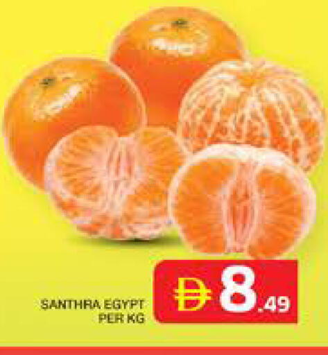 from Egypt available at الامارات السبع سوبر ماركت in الإمارات العربية المتحدة , الامارات - أبو ظبي