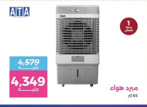 available at Raneen in Egypt - Cairo