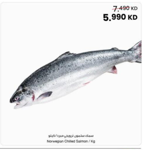 available at مركز سلطان in الكويت - محافظة الجهراء