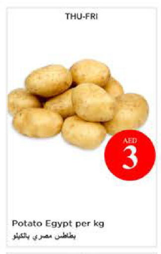 Potato from Egypt available at نستو هايبرماركت in الإمارات العربية المتحدة , الامارات - أبو ظبي