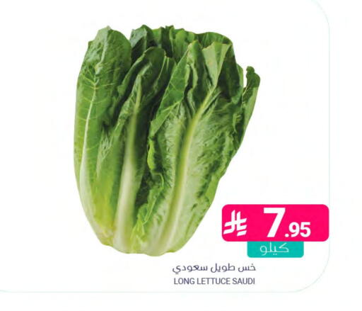 Lettuce from Saudi Arabia available at اسواق المنتزه in مملكة العربية السعودية, السعودية, سعودية - المنطقة الشرقية