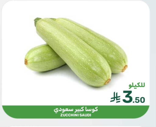 Zucchini from Saudi Arabia available at  مـزايــا in مملكة العربية السعودية, السعودية, سعودية - المنطقة الشرقية