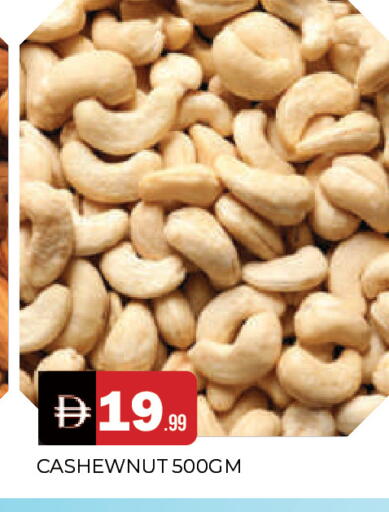 available at المدينة in الإمارات العربية المتحدة , الامارات - الشارقة / عجمان