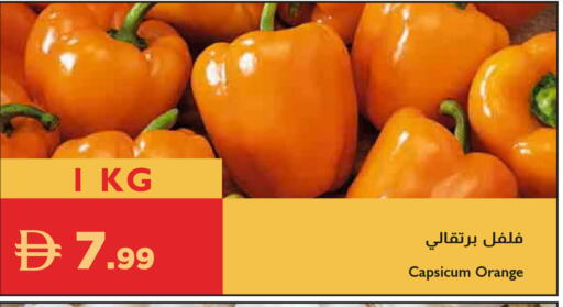 Orange Capsicum available at إسطنبول سوبرماركت in الإمارات العربية المتحدة , الامارات - ٱلْعَيْن‎