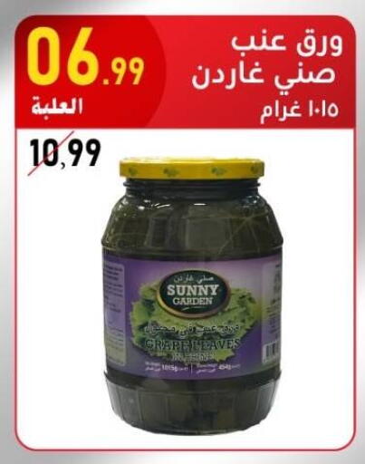 available at Bin Afif Bazaar in KSA, Saudi Arabia, Saudi - Dammam