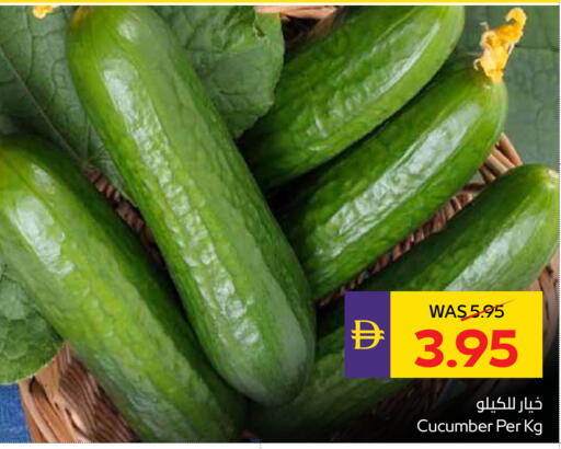 Cucumber available at أدكووب in الإمارات العربية المتحدة , الامارات - أبو ظبي