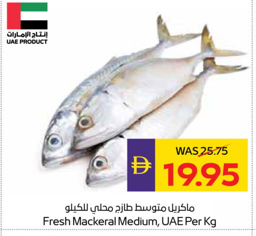 available at أدكووب in الإمارات العربية المتحدة , الامارات - أبو ظبي