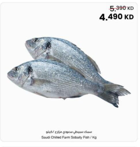 available at مركز سلطان in الكويت - محافظة الجهراء