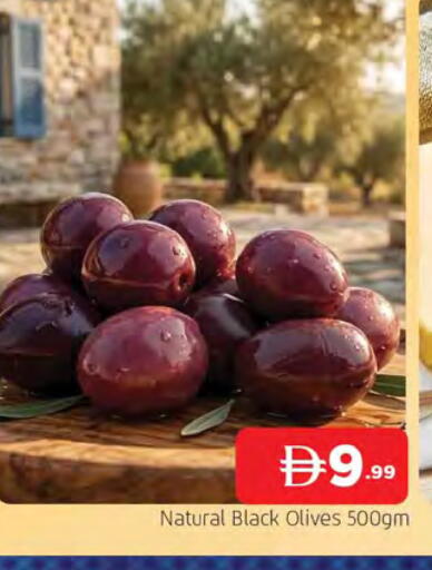 available at المدينة in الإمارات العربية المتحدة , الامارات - الشارقة / عجمان