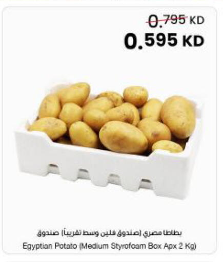 Potato from Egypt available at مركز سلطان in الكويت - محافظة الجهراء