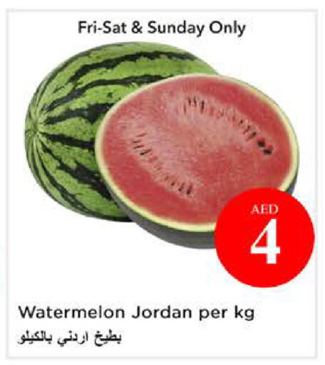 Watermelon from Jordan available at نستو هايبرماركت in الإمارات العربية المتحدة , الامارات - الشارقة / عجمان