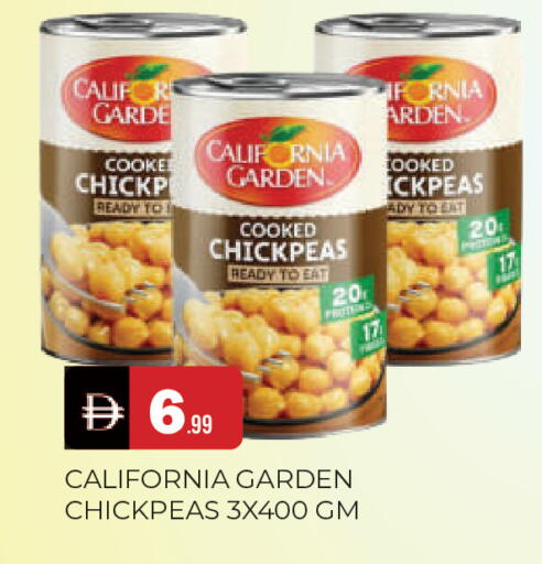 available at المدينة in الإمارات العربية المتحدة , الامارات - الشارقة / عجمان