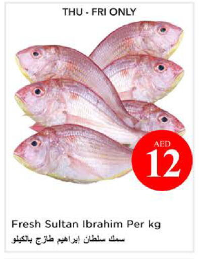 available at نستو هايبرماركت in الإمارات العربية المتحدة , الامارات - الشارقة / عجمان