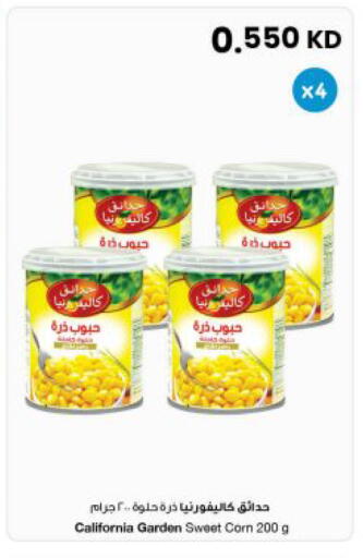 available at مركز سلطان in الكويت - محافظة الجهراء