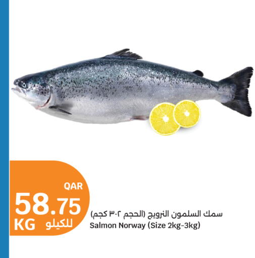 available at سيتي هايبرماركت in قطر - الشمال